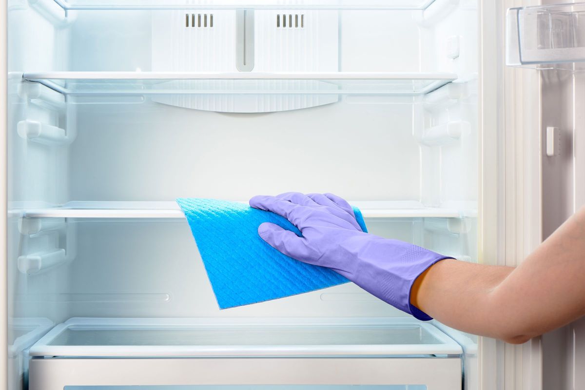Fridge — professionally cleaned